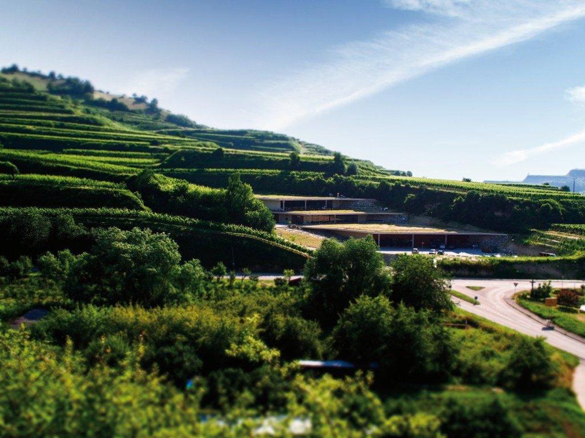 Hotel Schwarzer Adler Vogtsburg im Kaiserstuhl Wyposażenia zdjęcie