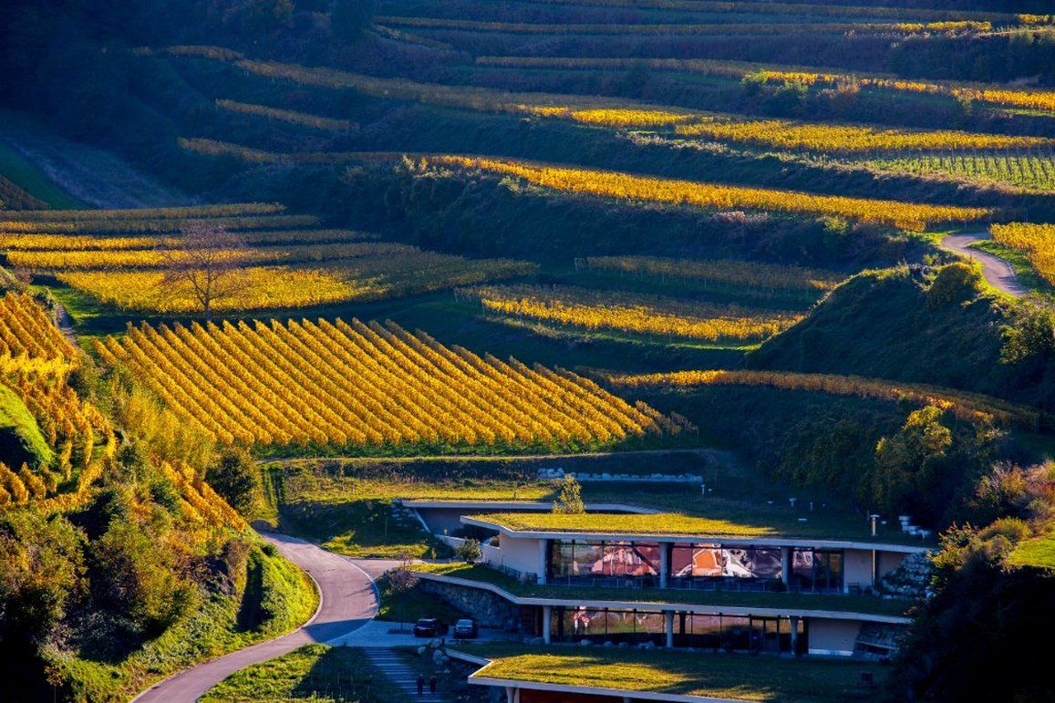 Hotel Schwarzer Adler Vogtsburg im Kaiserstuhl Wyposażenia zdjęcie