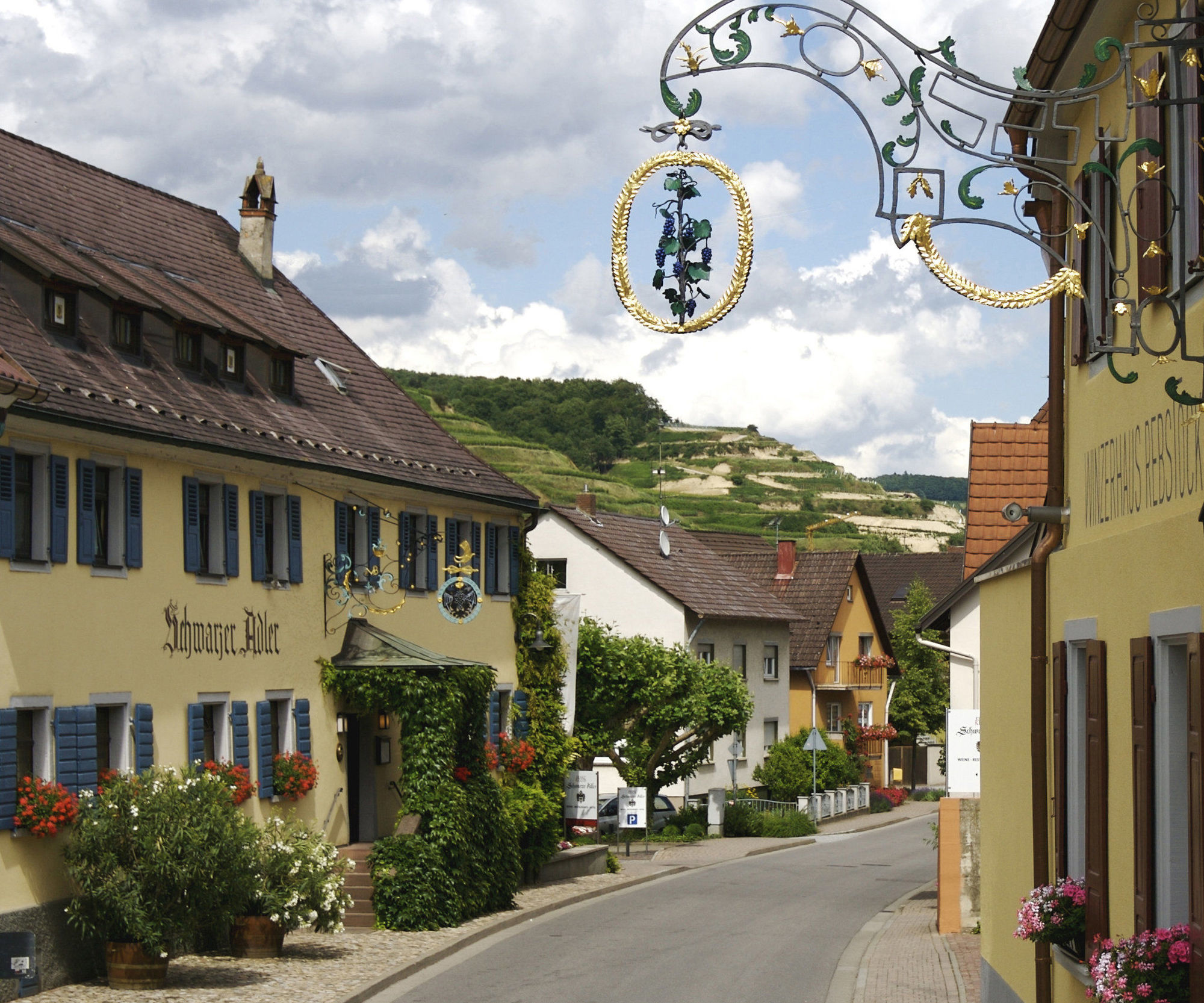 Hotel Schwarzer Adler Vogtsburg im Kaiserstuhl Zewnętrze zdjęcie