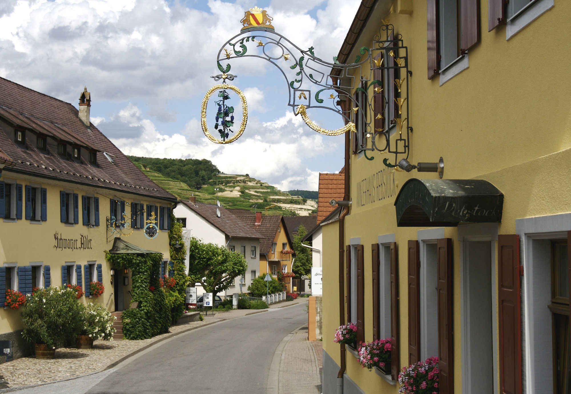 Hotel Schwarzer Adler Vogtsburg im Kaiserstuhl Zewnętrze zdjęcie