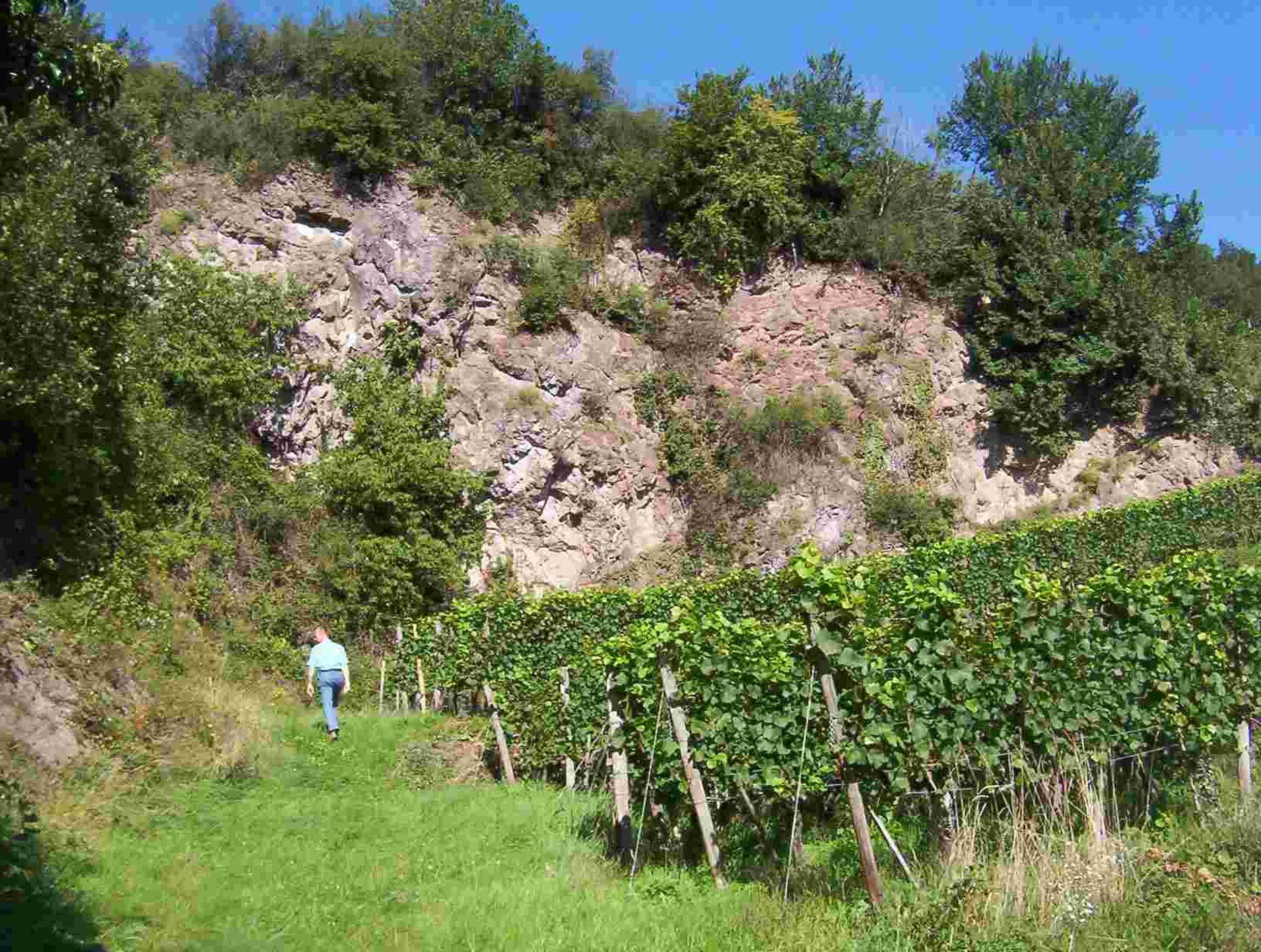 Hotel Schwarzer Adler Vogtsburg im Kaiserstuhl Wyposażenia zdjęcie