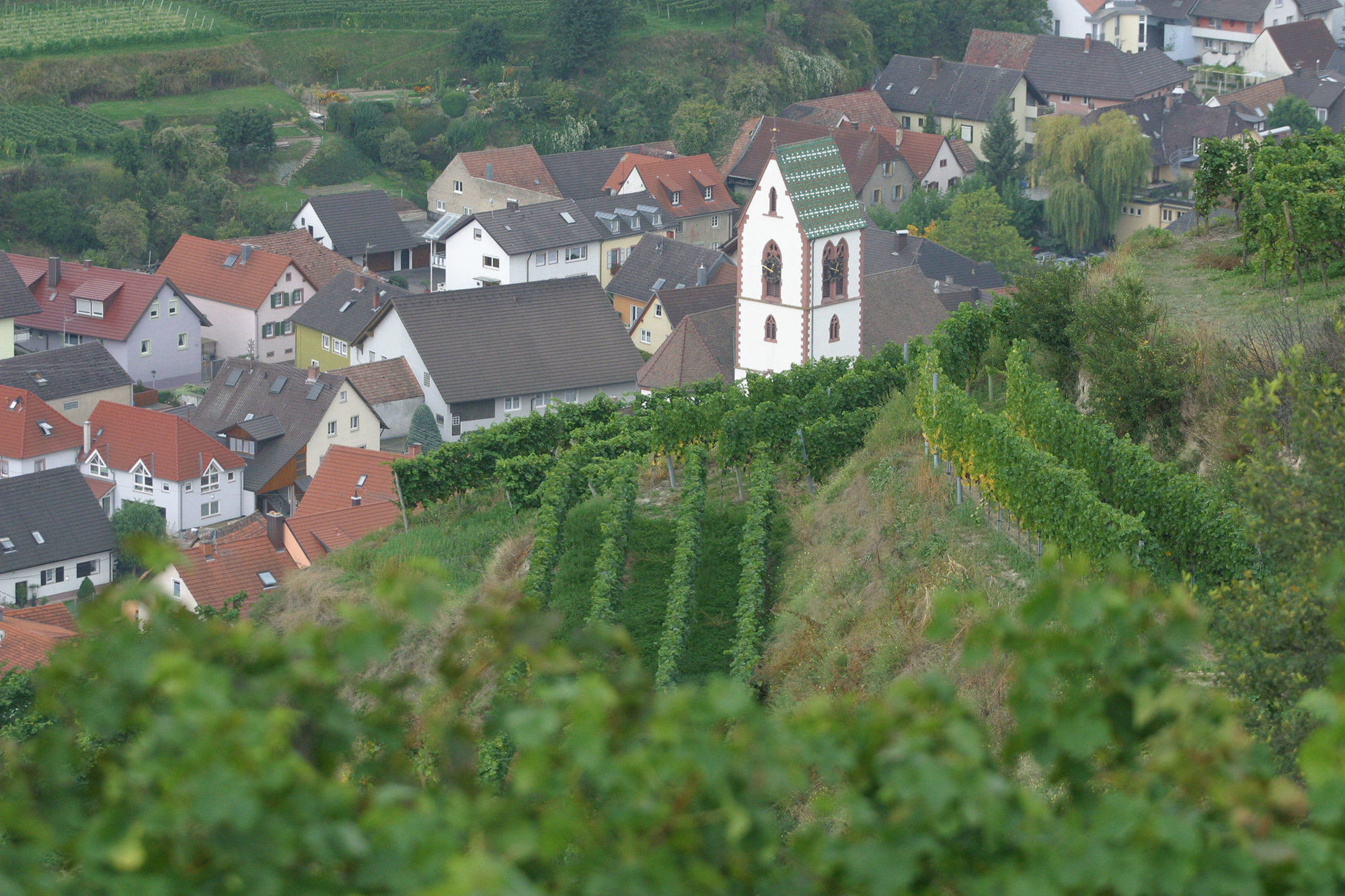 Hotel Schwarzer Adler Vogtsburg im Kaiserstuhl Zewnętrze zdjęcie
