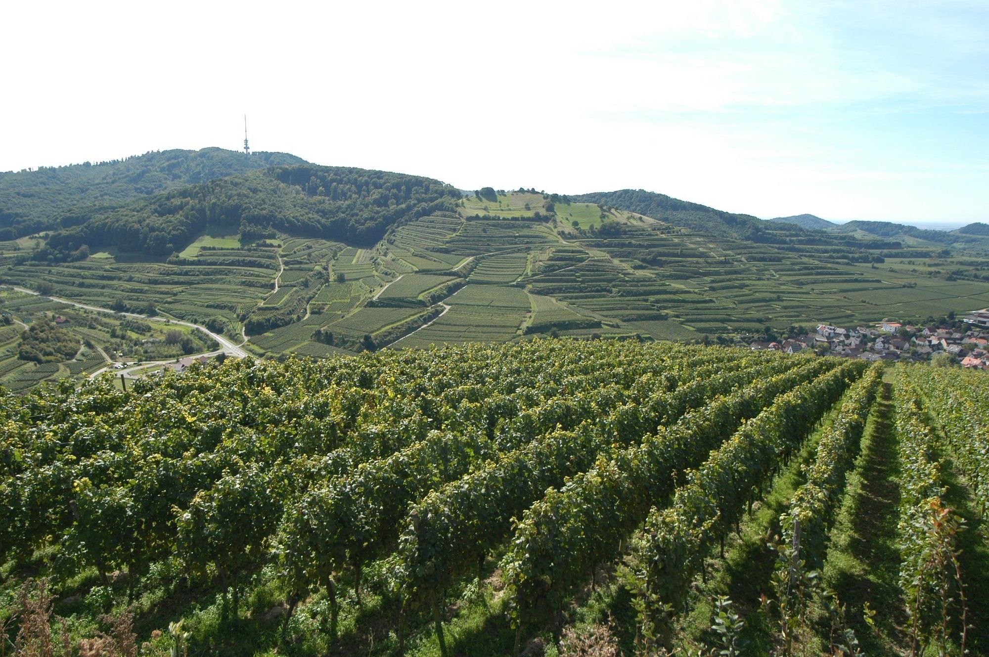 Hotel Schwarzer Adler Vogtsburg im Kaiserstuhl Wyposażenia zdjęcie
